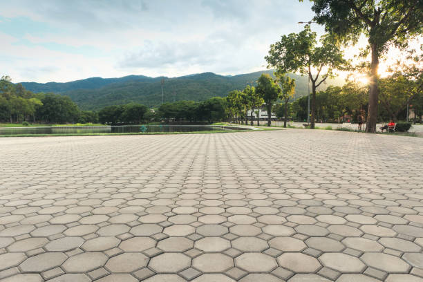Best Residential Paver Driveway  in Friona, TX